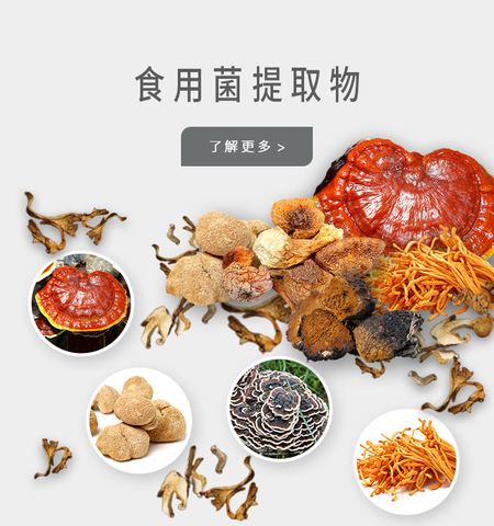 牛樟芝提取物