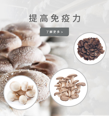 金针菇提取物